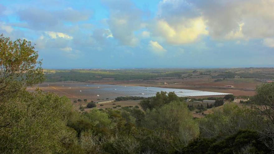 Recreación del parque solar de Santa Cirga en Manacor.