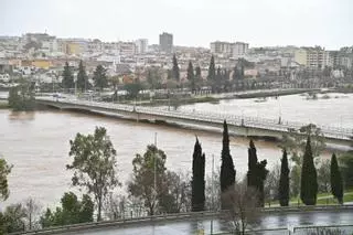 Fotogalería | Imágenes del temporal en Badajoz, este sábado