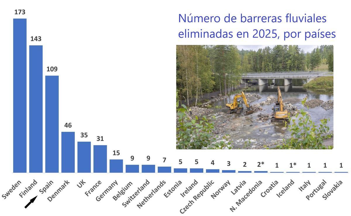 Ranking de retirada de barreras fluviales en 2025