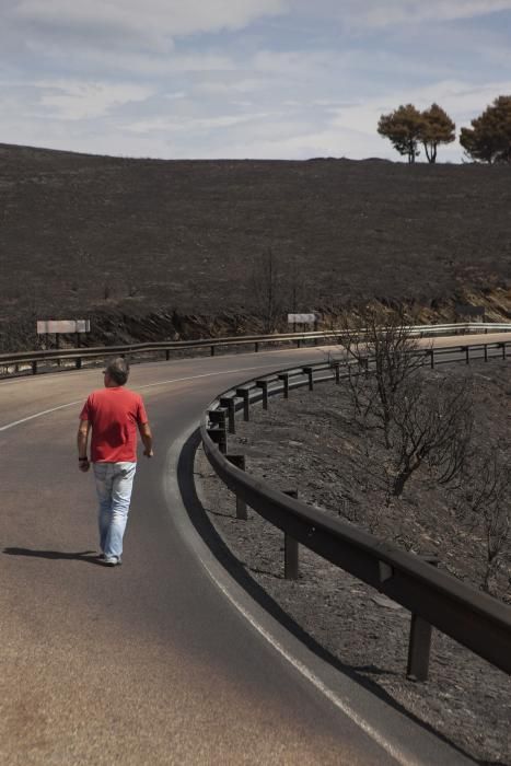 Incendio en los montes de León