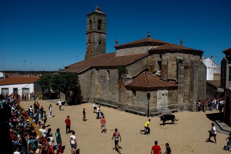 Encierro urbano en Bermillo de Sayago