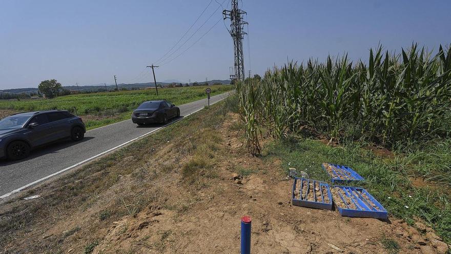 Vilablareix desconeix cap actuació per a un possible estadi del Girona