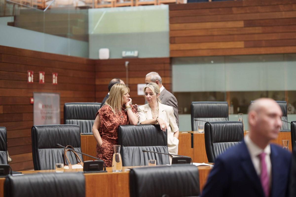 Fotogalería | Imágenes de la sesión del Pleno de la Asamblea de Extremadura este jueves, 28 de mayo
