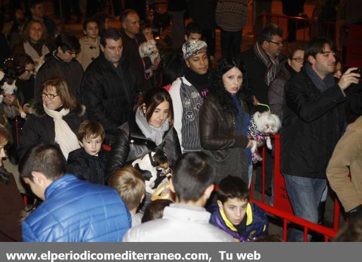 GALERÍA DE FOTOS - Bendición de los animales por Sant Antoni en Vila-real