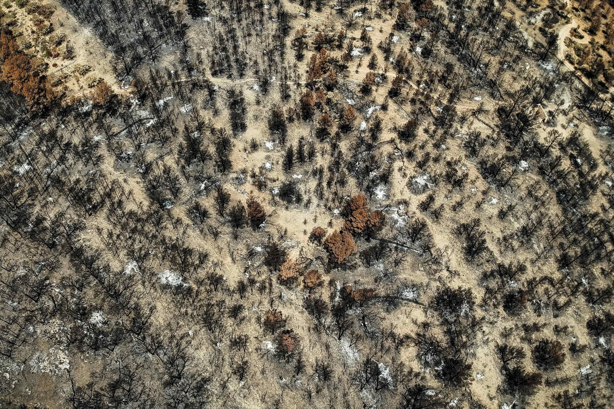 Les fotos de l'incendi de Paüls a vista de dron