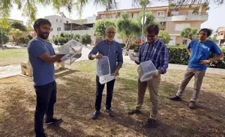 La lucha biológica redujo un 80 % la presencia del mosquito tigre en verano