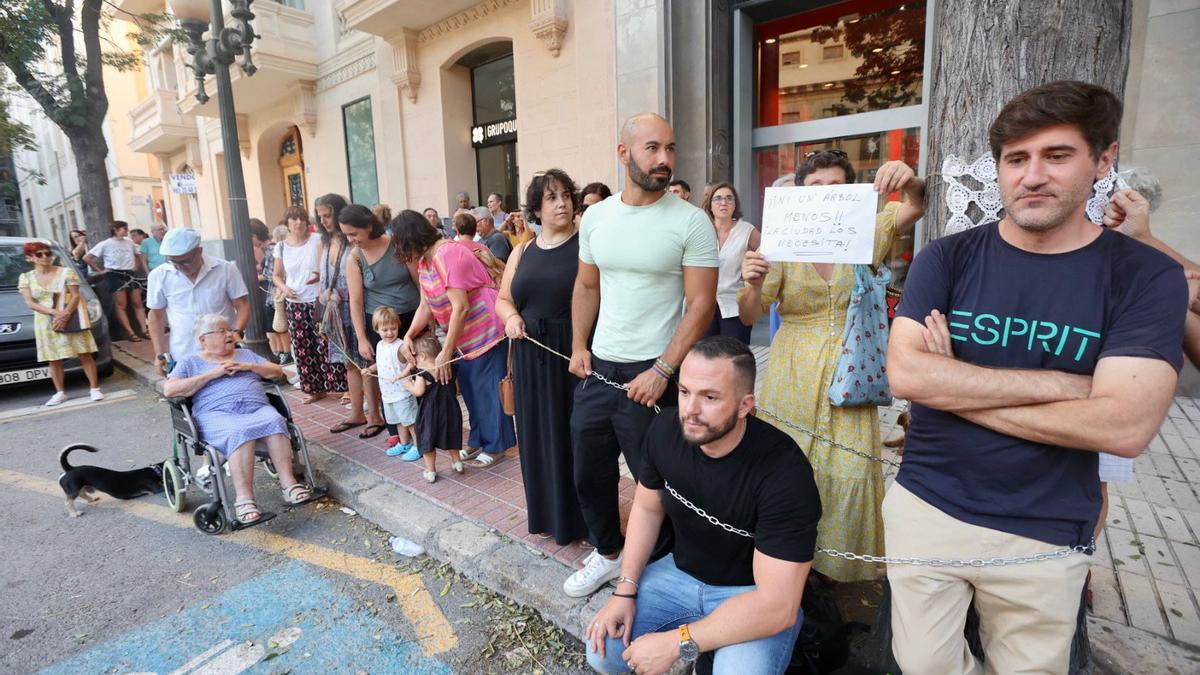 Concentración contra la tala de las melias en la avenida de la Constitución