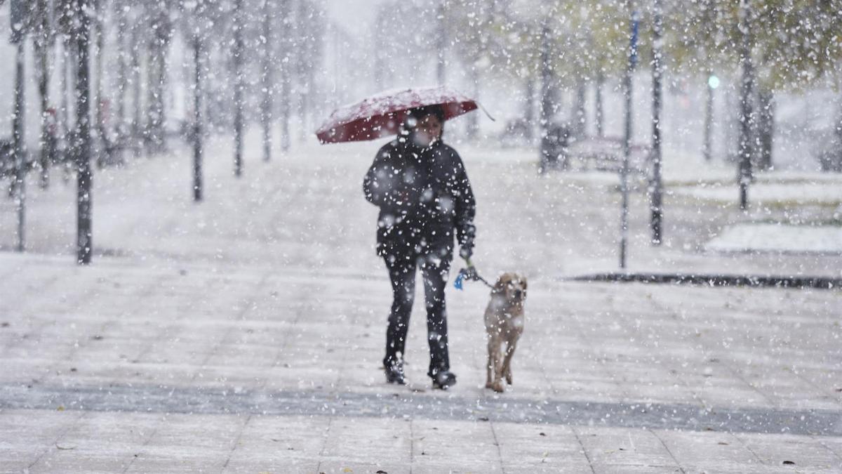 Una dona camina amb el seu gos mentre neva a Pamplona