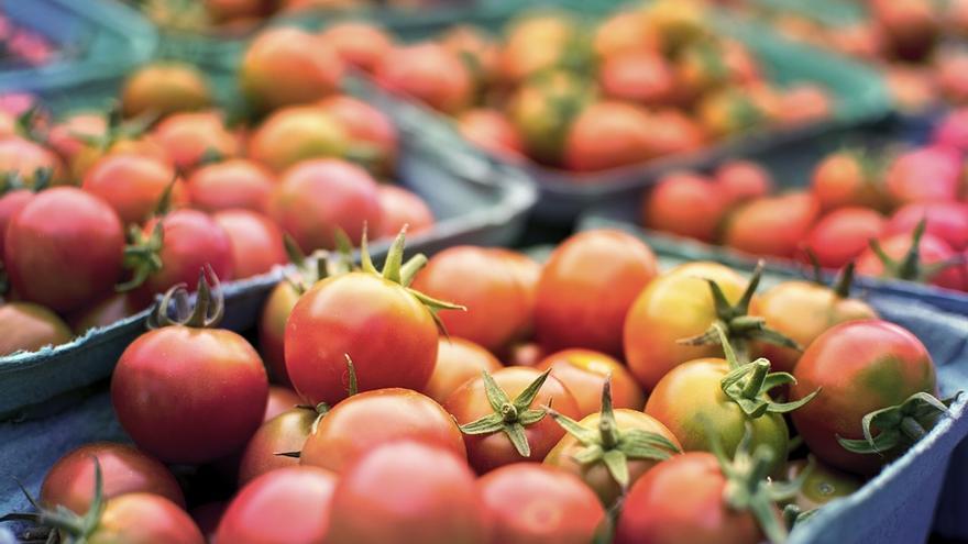 Bandejas de tomate en un supermercado.