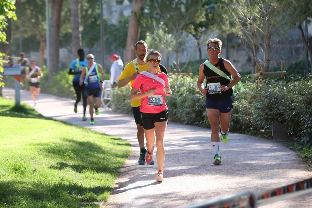 MARATÓN EKIDEN VALENCIA: Mediterránea, Serrano CA y RedoltaMIX se imponen en las tres categorías