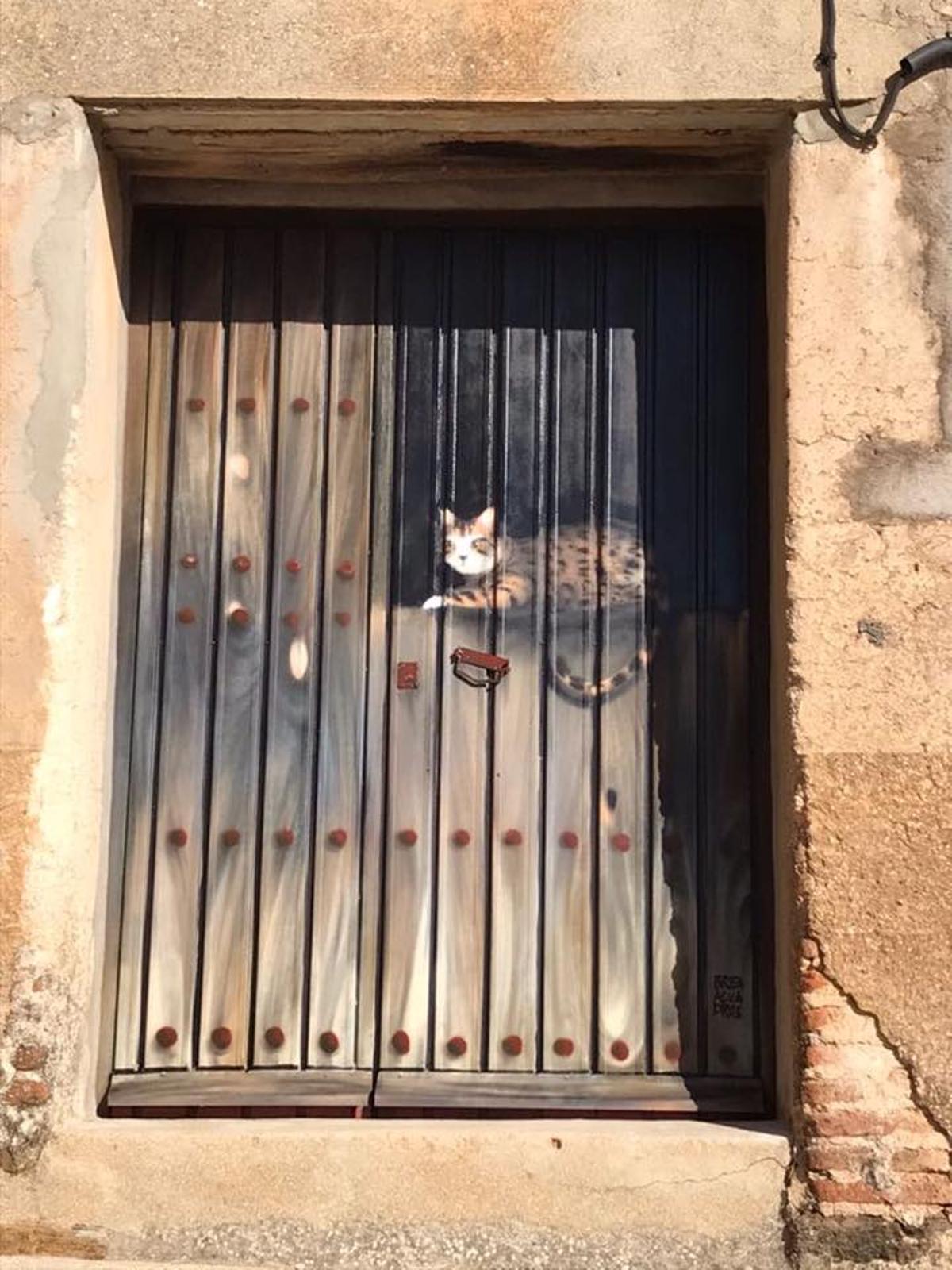 Puerta y gato.