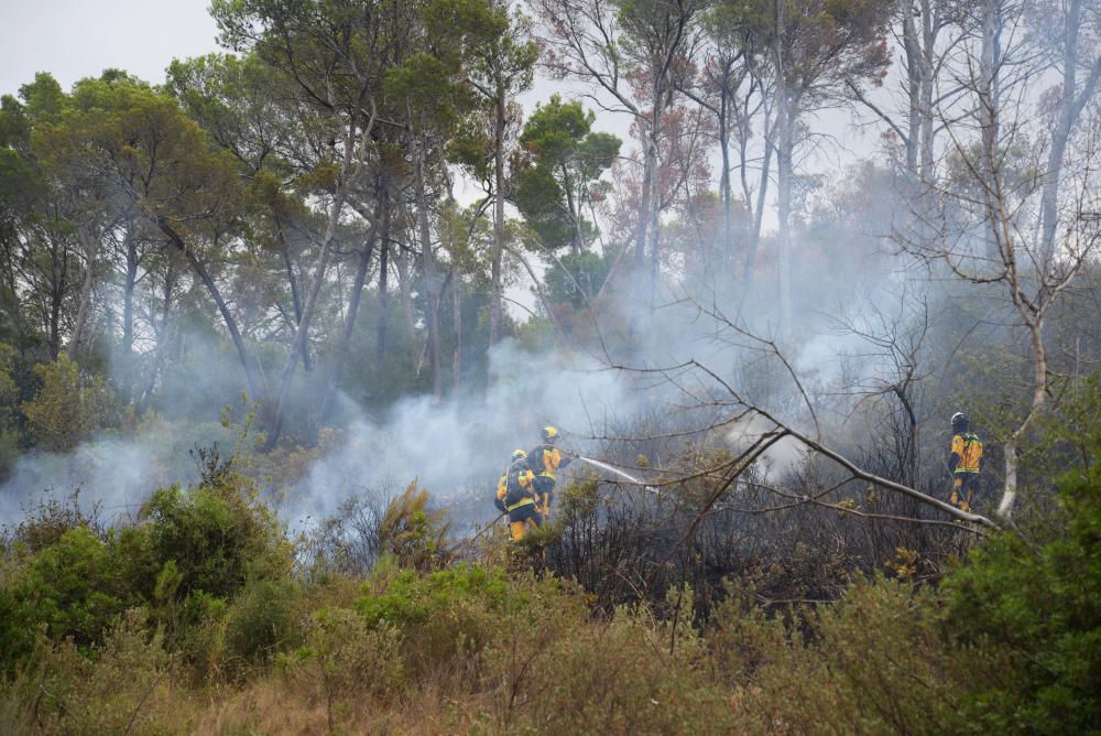 Controlado otro incendio forestal en un pinar en Marratxinet