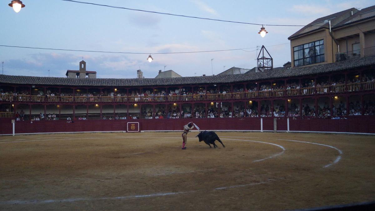 Ismael Martín abrió la triple puerta grande de la plaza de toros de Toro junto a sus compañeros de terna, Alejandro Talavante y Tomás Rufo, en un encierro de presencia y juego desigual de El Vellosino