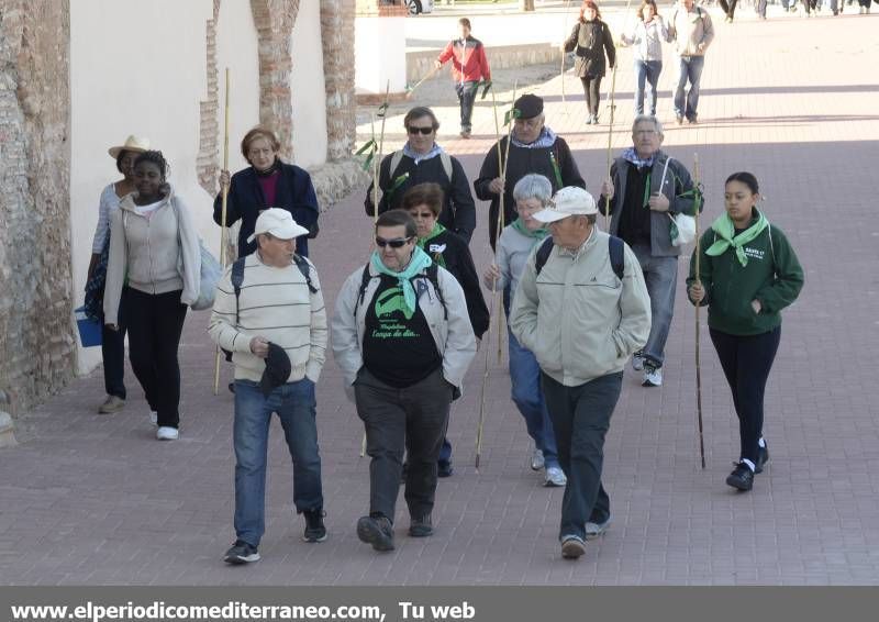 GALERÍA DE FOTOS -  Romería Magdalena 2014 (1)