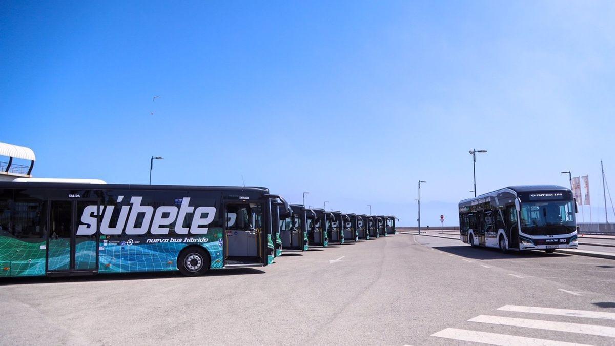 Flota de megabuses eléctricos incorporados el año pasado.