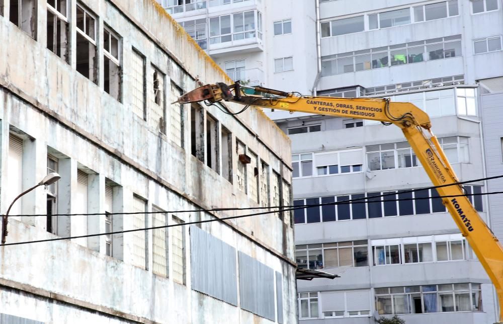 Los animalistas acudieron a rescatar a los gatos antes de que comenzasen las obras de derribo