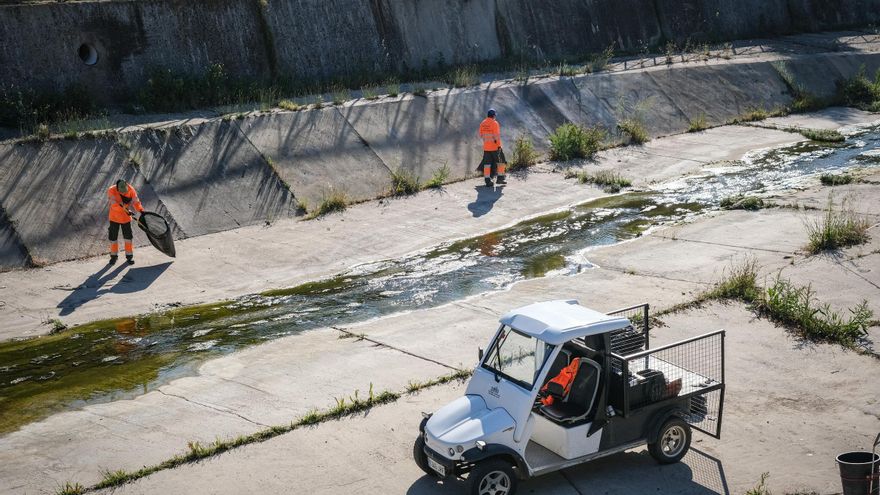 Exigen la limpieza de los arroyos Rivillas y Calamón de Badajoz