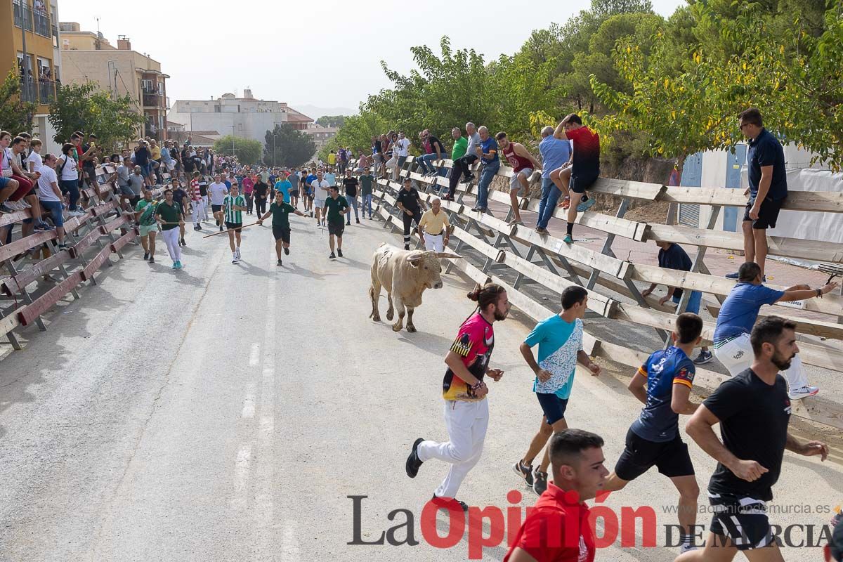 Segundo encierro de la Feria Taurina del Arroz en Calasparra