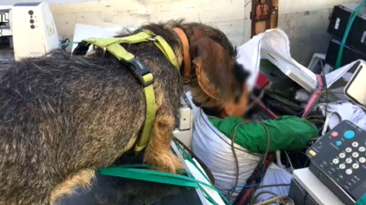 Rescatados en Melilla tres menores dentro de sacos de chatarra electrónica