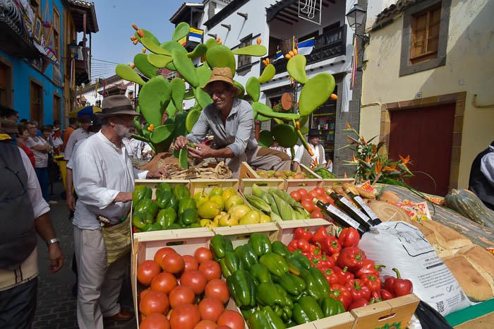 Carretas y grupos en la romería del Pino