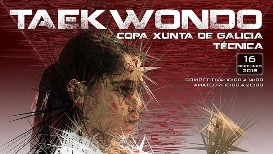 El cartel de la Copa Xunta de Taekwondo. // FdV