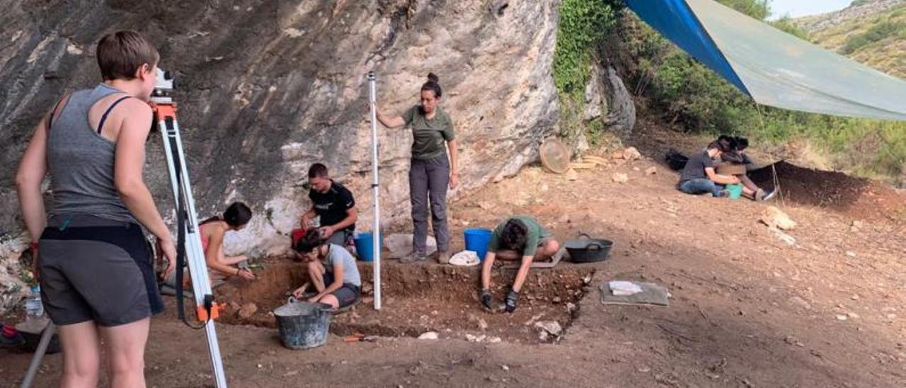 Los participantes en los trabajos de excavación realizan un sondeo en una de las  parcelas. | LEVANTE-EMV