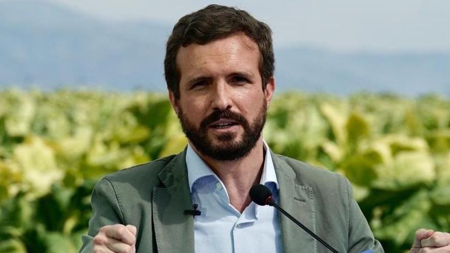 El líder del PP, Pablo  Casado.