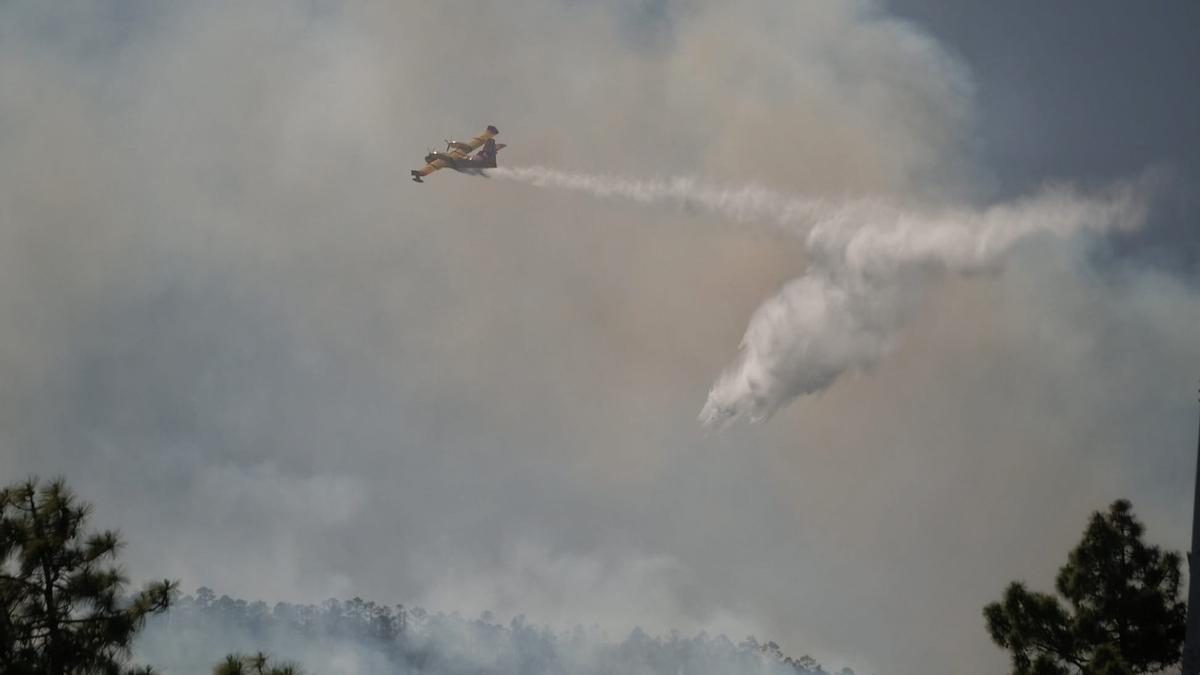 Incendio forestal en Arico