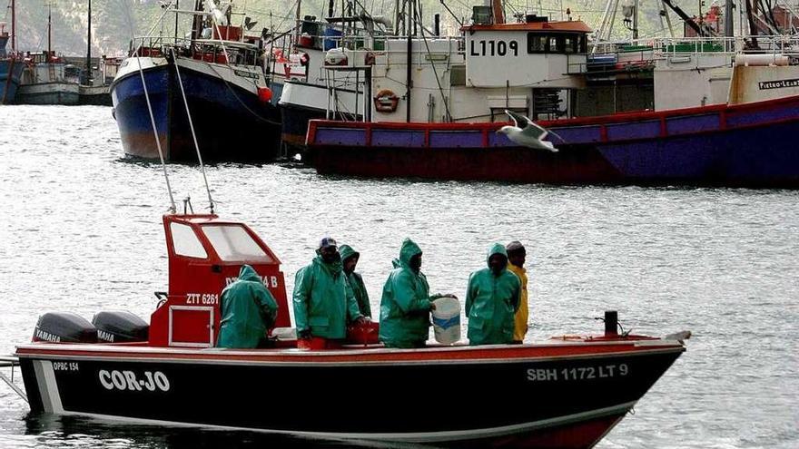 Pescadores artesanales regresan a puerto en Ciudad del Cabo.