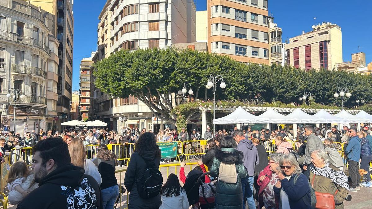 Fira animalista d'Alzira.