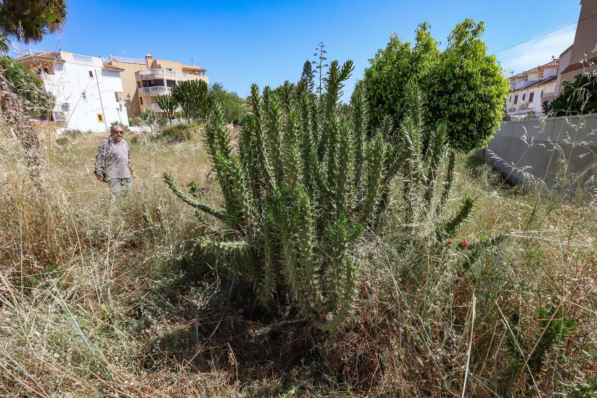 Parques en Orihuela Costa con deficiencias en el mantenimiento