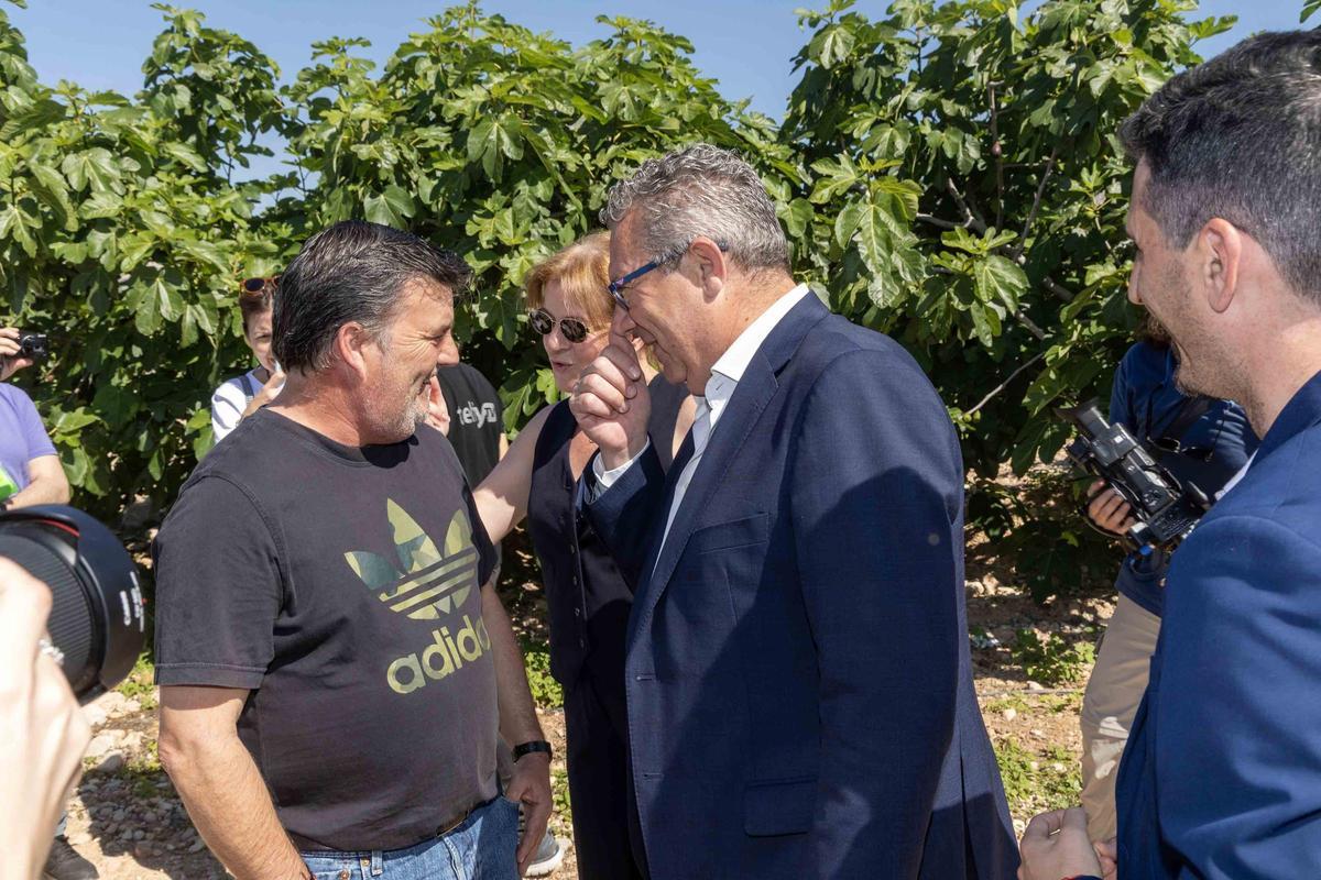 El Corte de la Breva 2026 marca el inicio de la campaña en Albatera