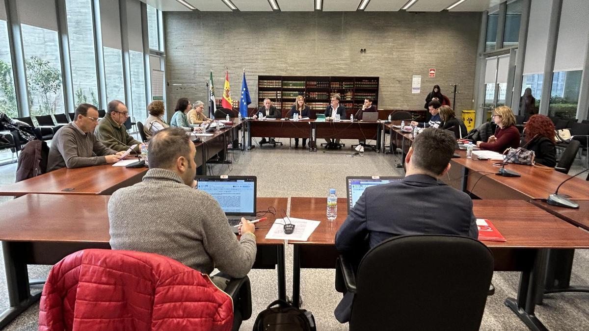 La secretaria general de Educación, Pilar Pérez, presidió ayer la Mesa Sectorial de Educación, con representantes de los cinco sindicatos del ámbito educativo.