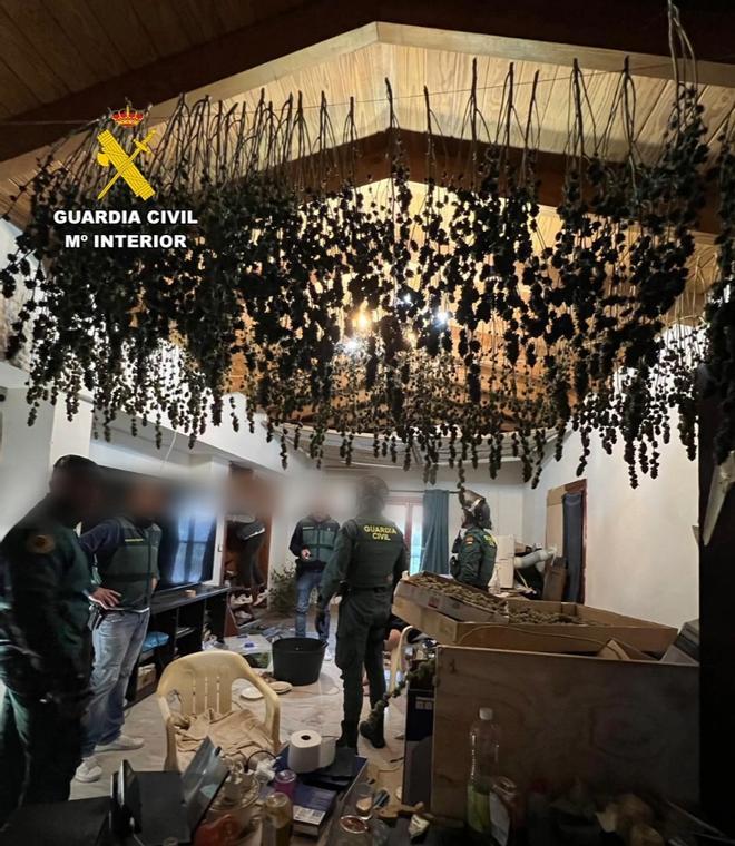 Desmantelan una plantación de marihuana y un laboratorio de hachís en Marratxí con un consumo eléctrico equivalente a 15 viviendas