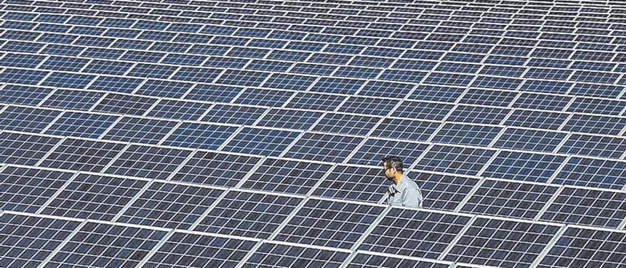 Una planta solar con las placas en primer término, en una imagen de archivo.