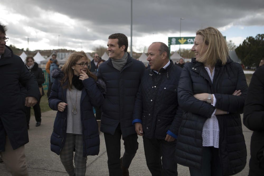 Visita de Pablo Casado a la Feria Raíces