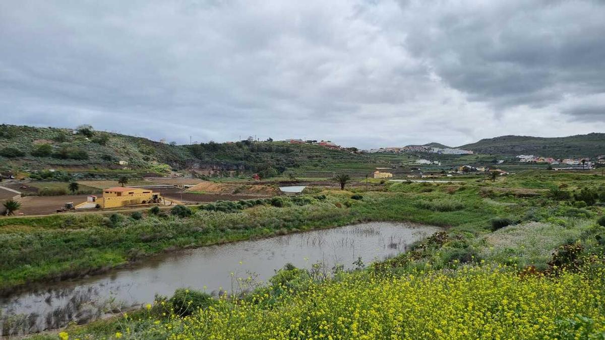 Colapsa un estanque de barro en San Lorenzo