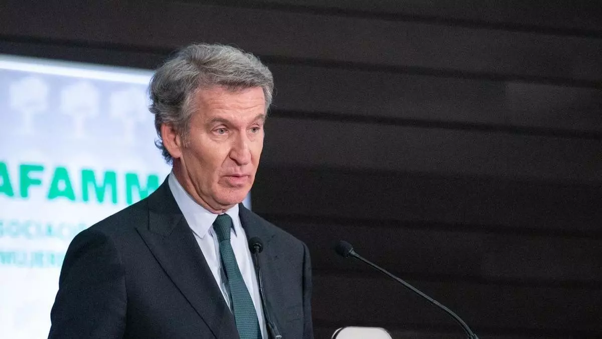 DIRECTO | Alberto Núñez Feijóo interviene el XII Congreso Estatal de Unidad Progresista de La ONCE