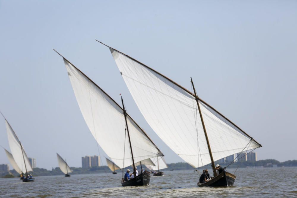 Regata-exhibición de vela latina en l'Albufera