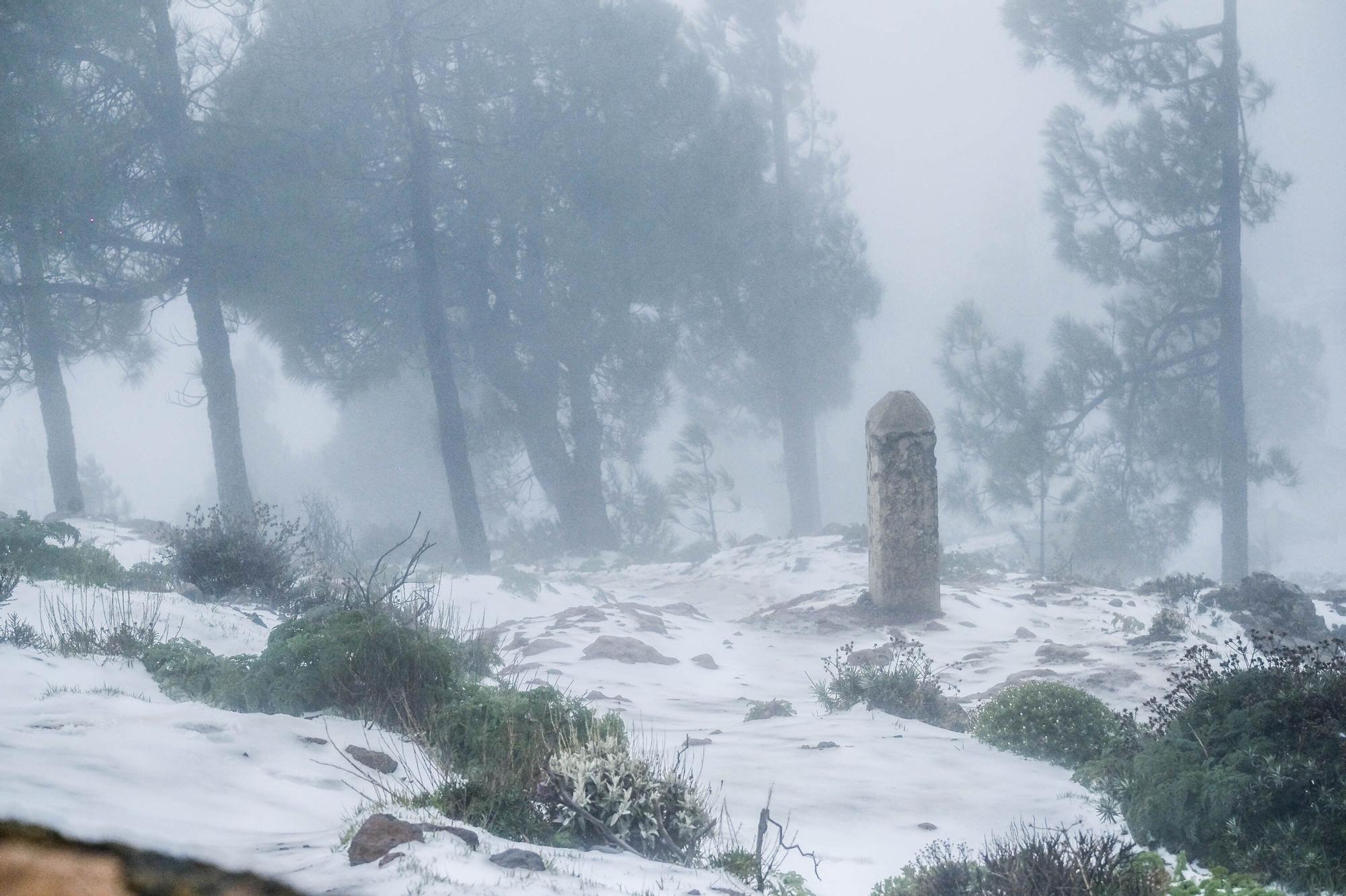 Nieve en la cumbre de Gran Canaria (15/03/2022)