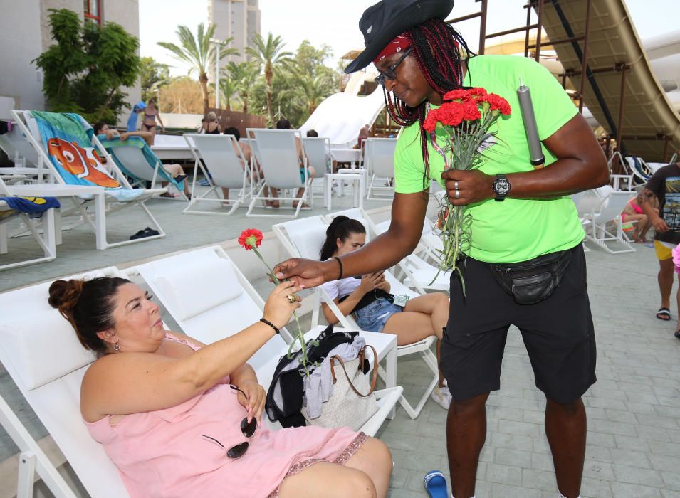 La cadena hotelera Magic Costa Blanca planta cara a los ataques de radicales al turismo agasajando a sus huéspedes con claveles y cava