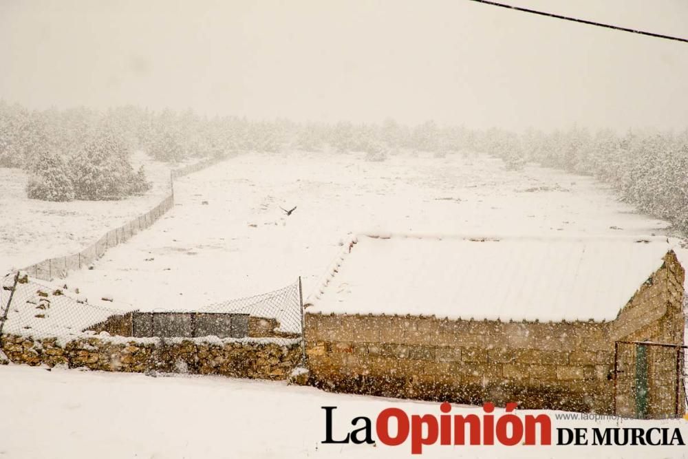 Nieve en las pedanías altas del Noroeste