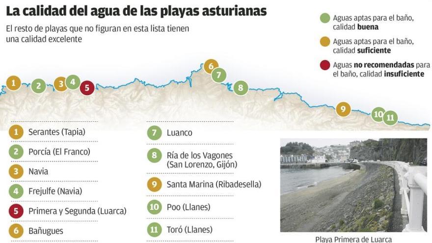 La calidad del agua es excelente en ocho de cada diez playas