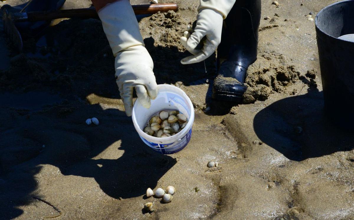 Mariscadoras de Moaña trabajando esta semana en la playa de A Xunqueira. |   // GONZALO NÚÑEZ