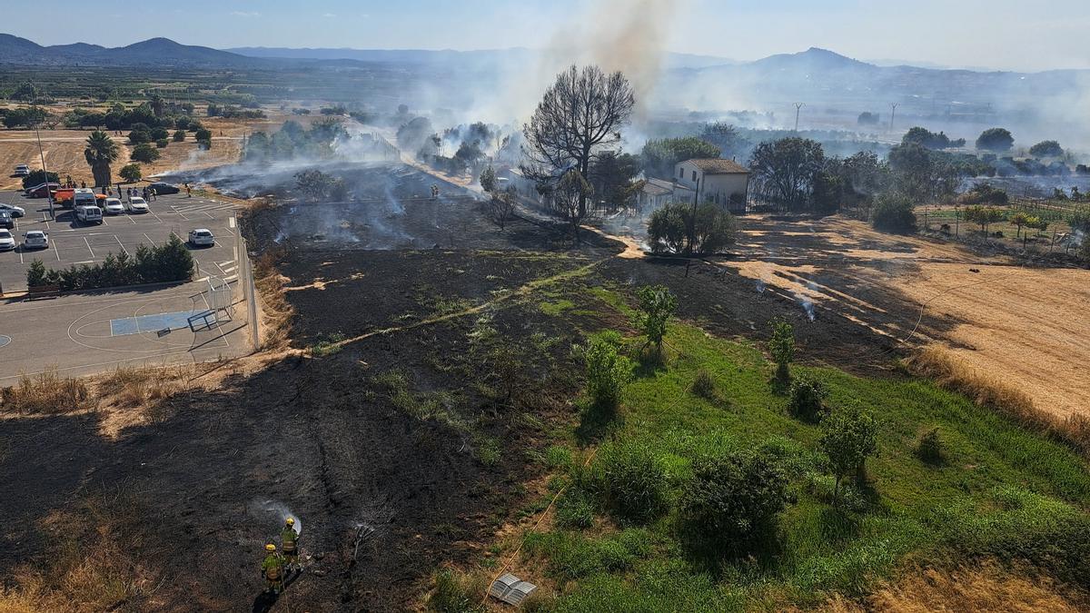 Zona de huerta incendiada.
