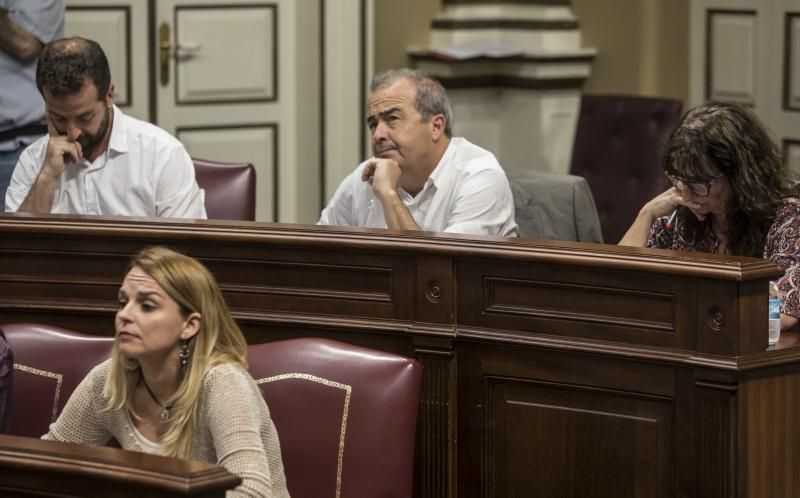 Pleno en el Parlamento de Canarias (21/06/2017)