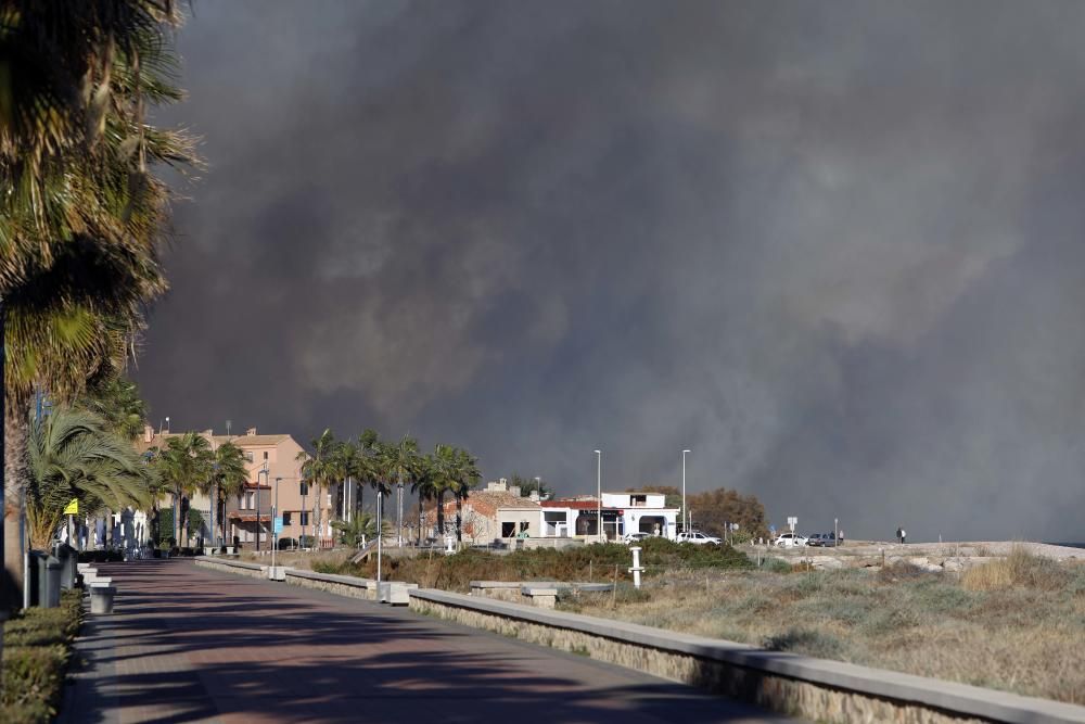 Incendio forestal en el Marjal dels Moros en Sagunt