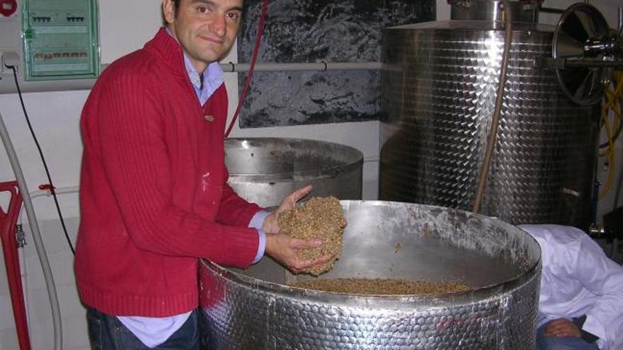 Diego Fernández Pons, en la fábrica de Casas del Rey, con la cebada en la mano.