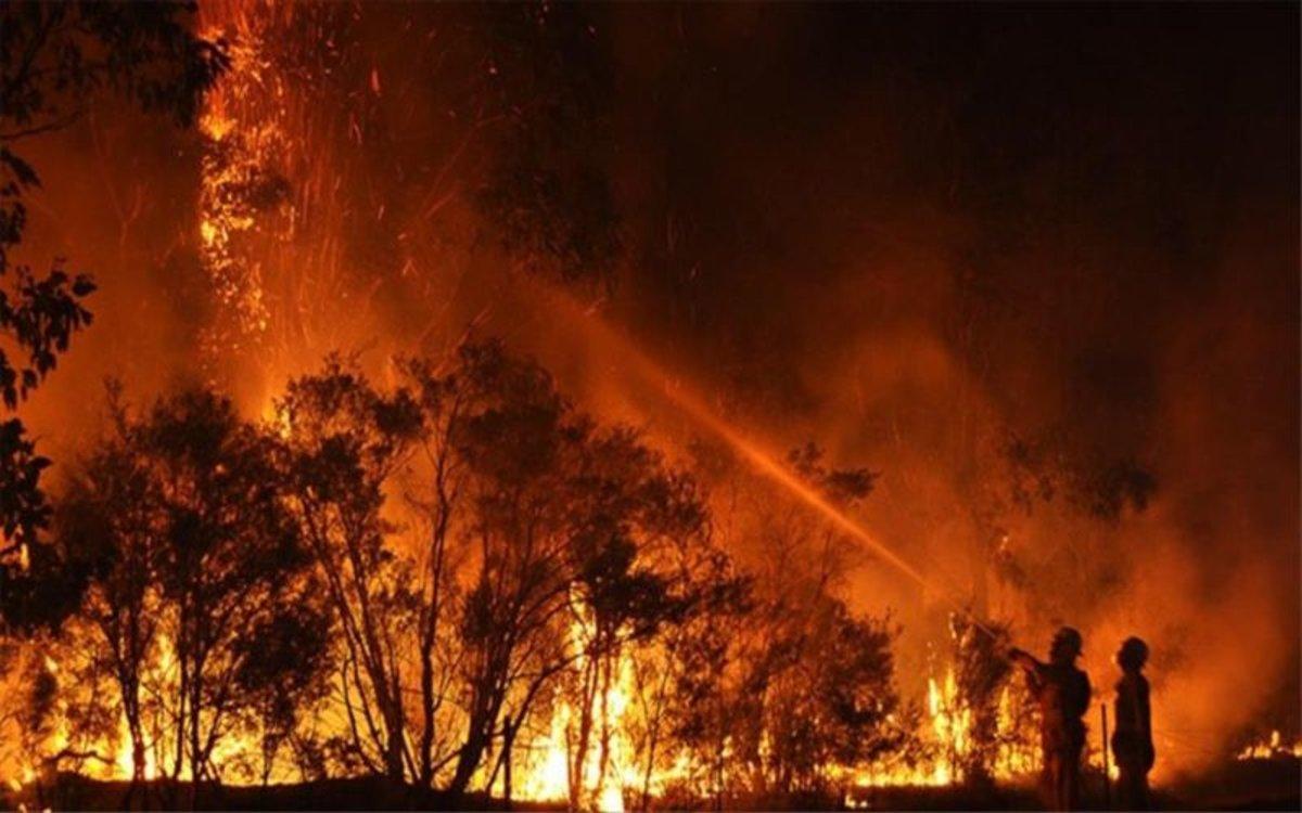 Los incendios forestales en Autralia siguen creciendo. Los incendios forestales en Autralia siguen creciendo.