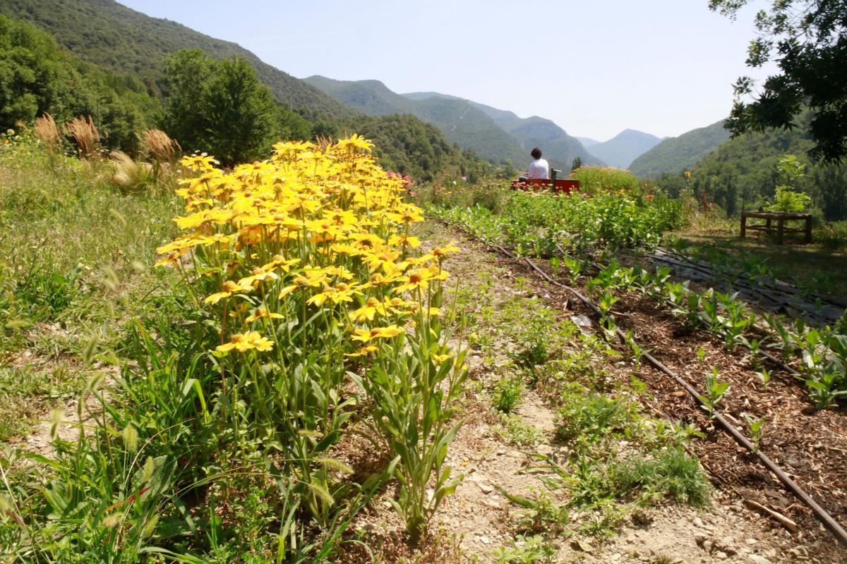El camp de flors de Flora et Labora